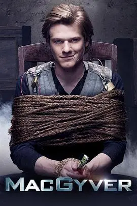 百战天龙第四季 海报