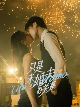 只是未婚夫的关系 海报