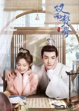 《双面赘婿2》：身份反转再升级，豪门恩怨燃爆回归！