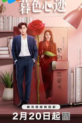 《暮色心迹》：一场关于爱与救赎的心理悬疑之旅，黑暗中绽放的希望之光