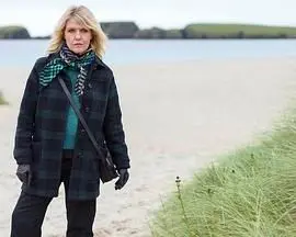 《设得兰谜案 第九季》：风雨中的真相！侦探吉米·佩雷斯再破迷雾，探寻人性最深处的黑暗角落