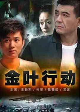 《金叶行动》：一场惊心动魄的谍战风云，揭秘国家利益下的暗流涌动与人性抉择
